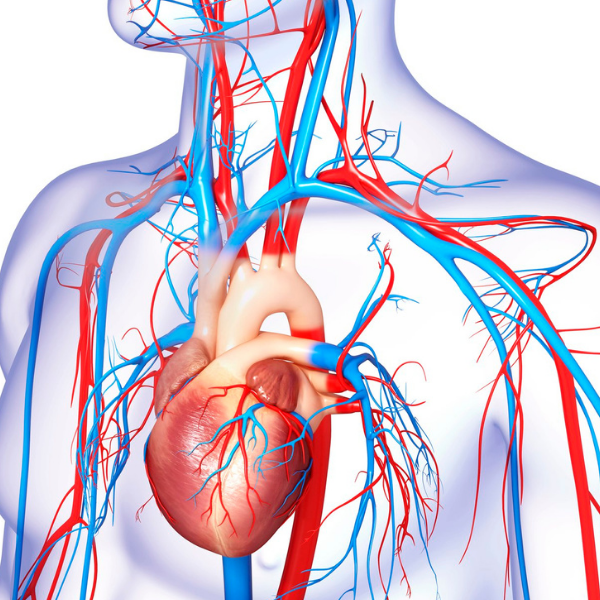 Hot Topics Free Webinar - CVD Clinic | Medcast