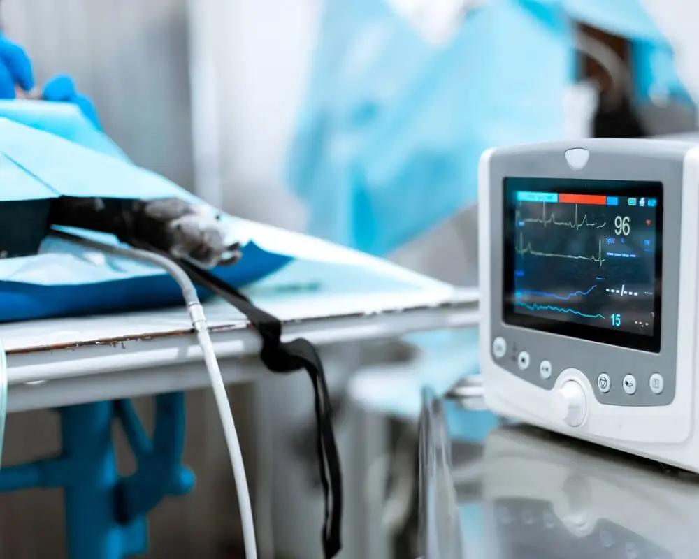 High Dependancy Nursing