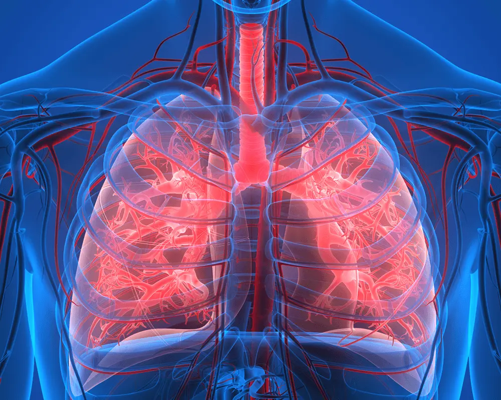 Respiratory Toolbox: Assessment and Management in the COVID Era | Medcast