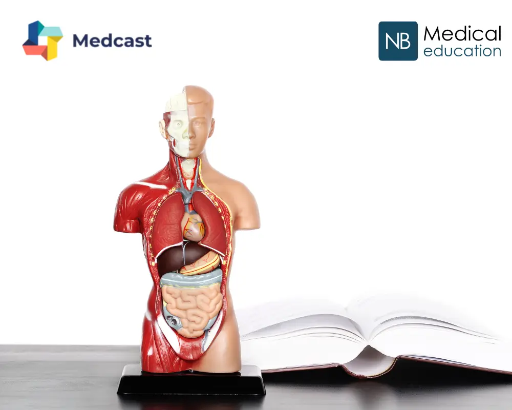 Medcast has joined forces with UK's market leader in primary care education, NB Medical to bring you Hot Topics GP Update 2023. 